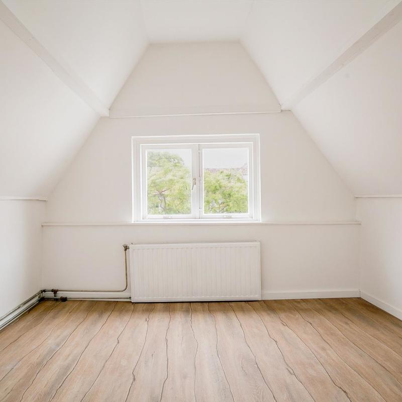 renovlies kopen